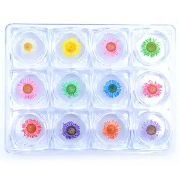 1 Dėžutė 3D Džiovintų Gėlių 12 spalvų Natūralių Gėlių Lipdukas Nagų Dailės Smeigės Manikiūro Priedų